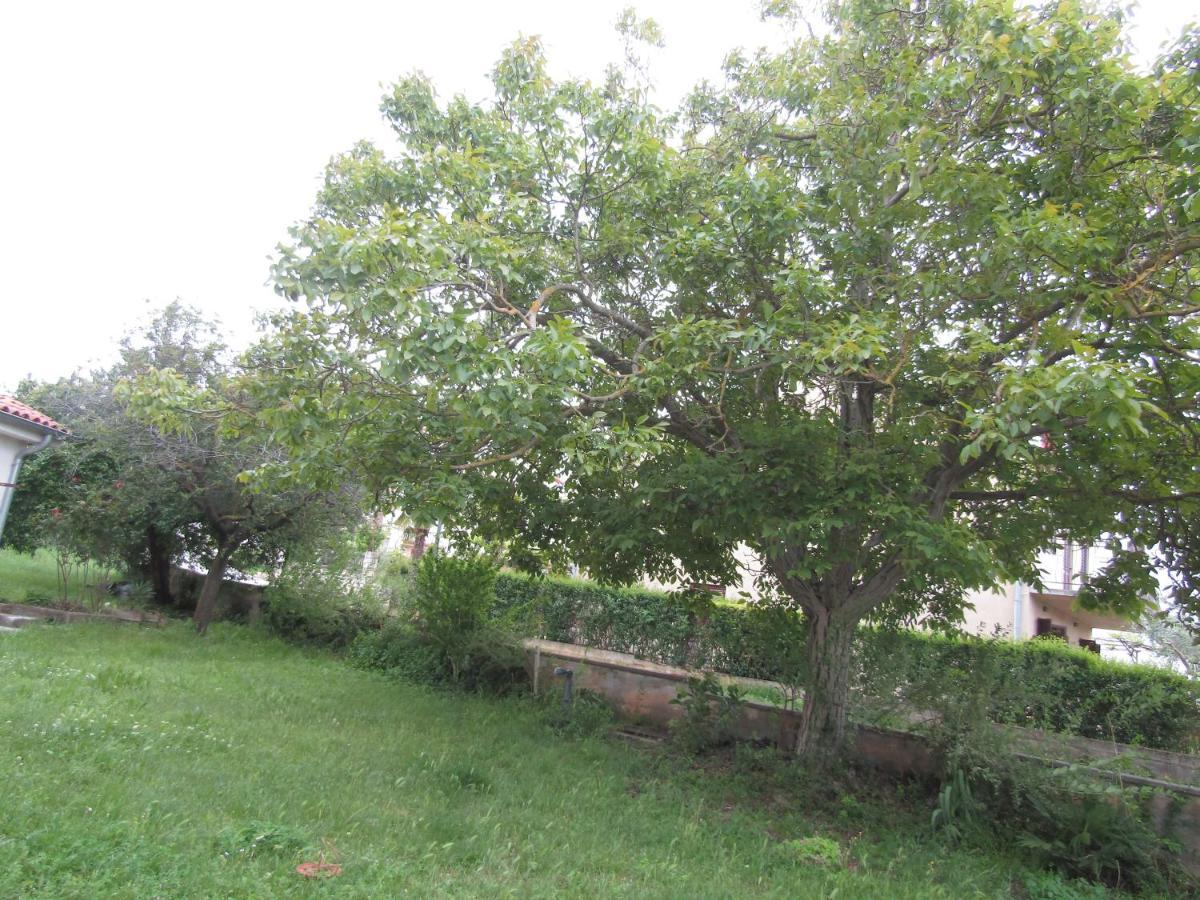 Green Gardens 2 Ровінь Екстер'єр фото
